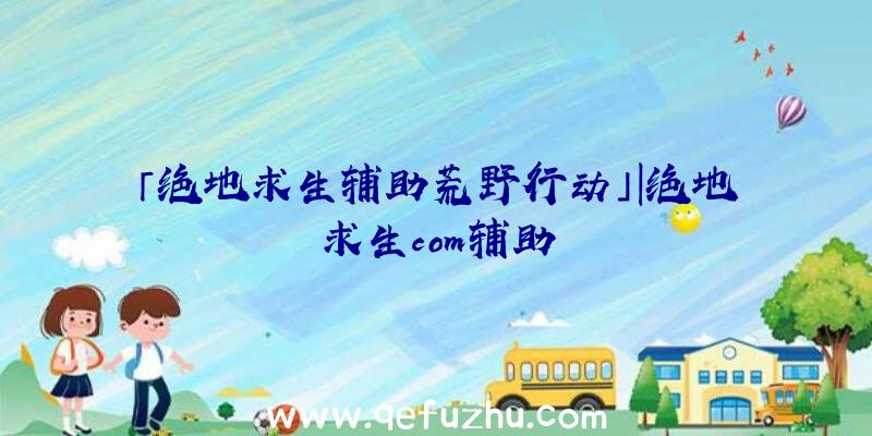 「绝地求生辅助荒野行动」|绝地求生com辅助